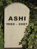Ashi's limestone standing stone