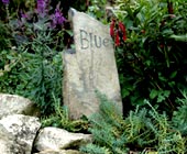 Blue's pet memorial headstone