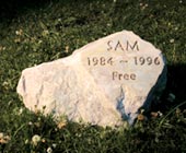 Sam's pet memorial headstone